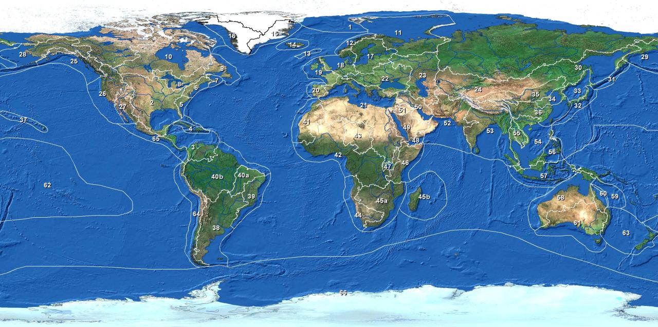 Marine Pollution How Global News Impacts the Jewellery Market and Sales