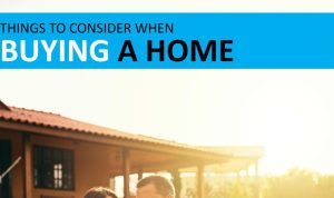 The Buyers Guide to Purchasing Software Online Made Easy