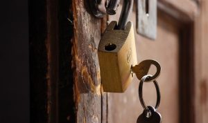 How Secure Online Payment Drives Customer Trust and Repeat Purchases
