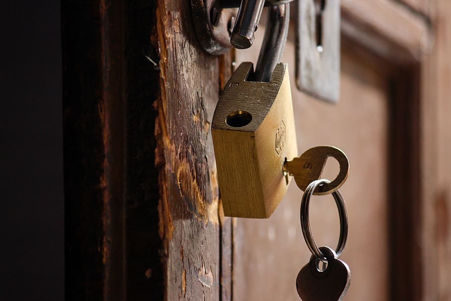 How Secure Online Payment Drives Customer Trust and Repeat Purchases