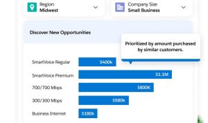 Maximizing Software Revenue Through Smart Sales Tactics