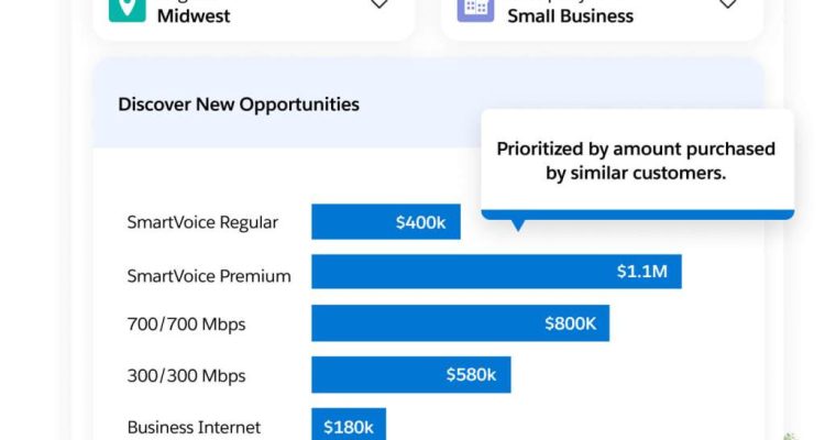 Maximizing Software Revenue Through Smart Sales Tactics