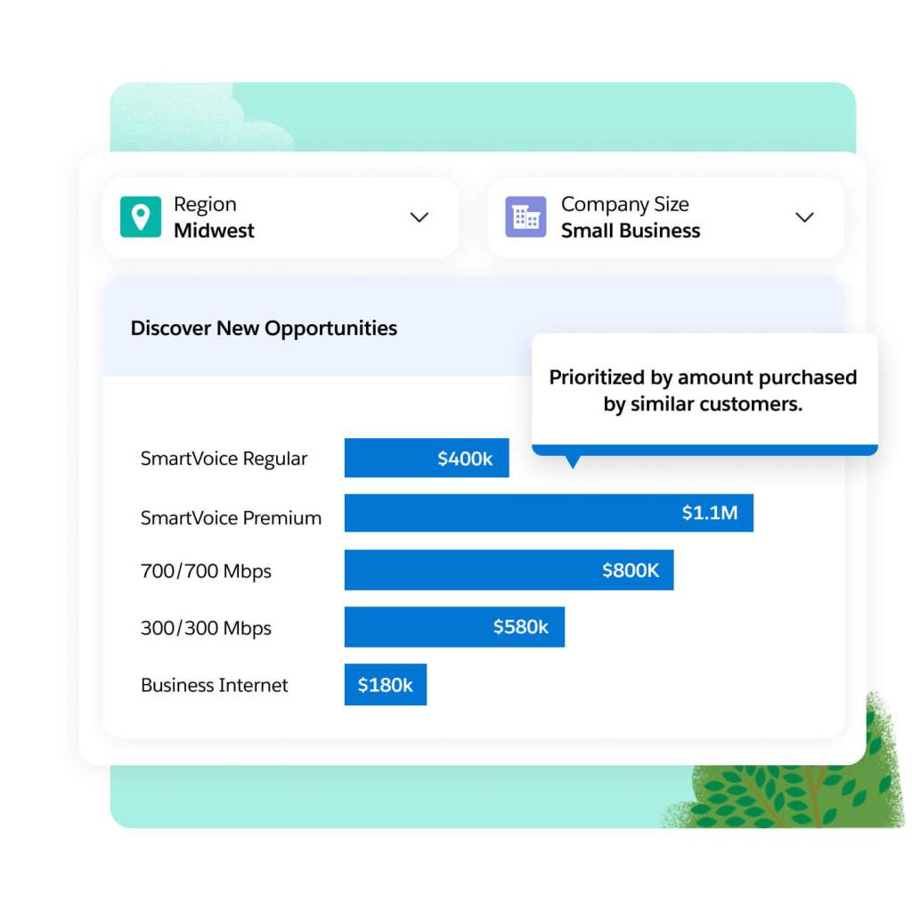 Maximizing Software Revenue Through Smart Sales Tactics